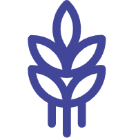 Tahıllar