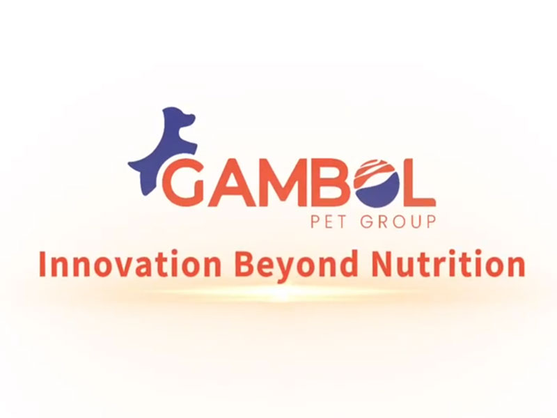 Gambol Hakkında