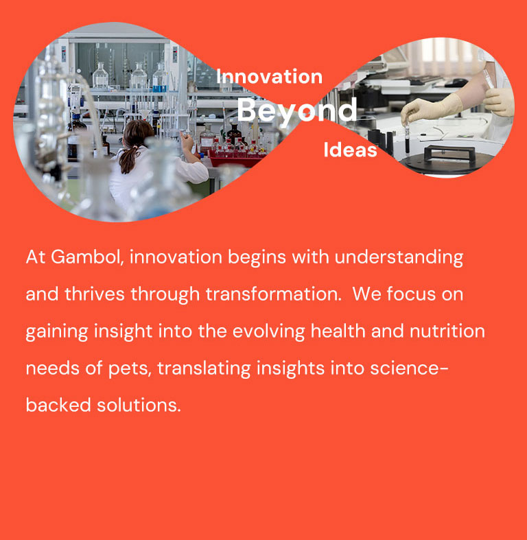 <p>Gambol Pet Food Ar-Ge</p>