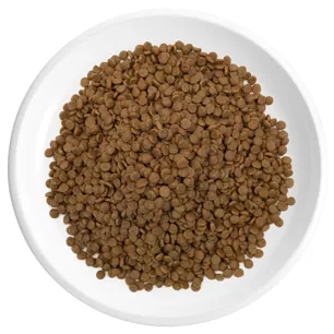 Tavuk ve Hindi Aromalı Kedi Kuru Maması