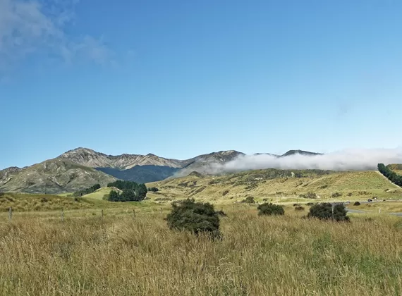 Yeni Zelanda Akıllı Üretim Merkezi