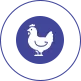 Kanatlı hayvan